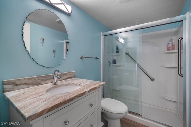 bathroom with vanity, toilet, and an enclosed shower