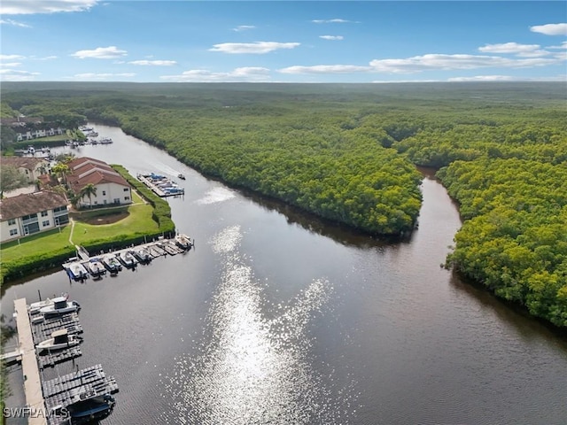 aerial view featuring a forest view and a water view