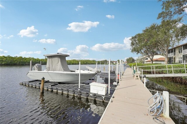 dock area with a water view