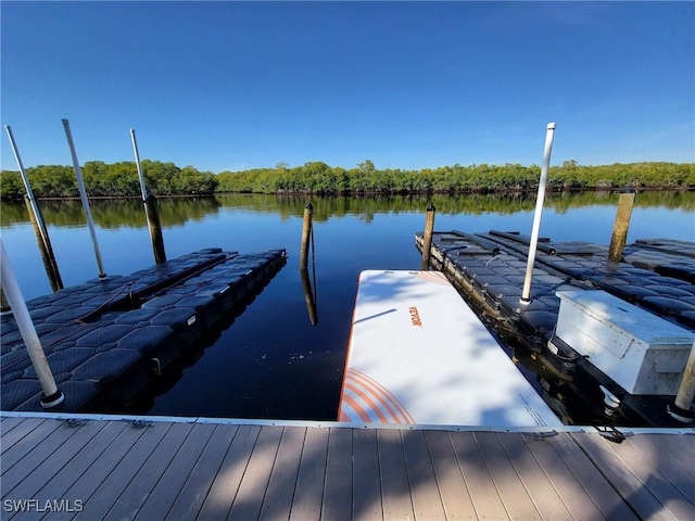 dock area featuring a water view