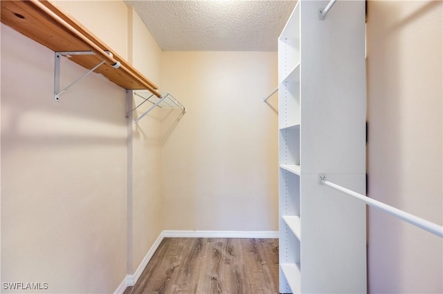 walk in closet featuring light hardwood / wood-style floors