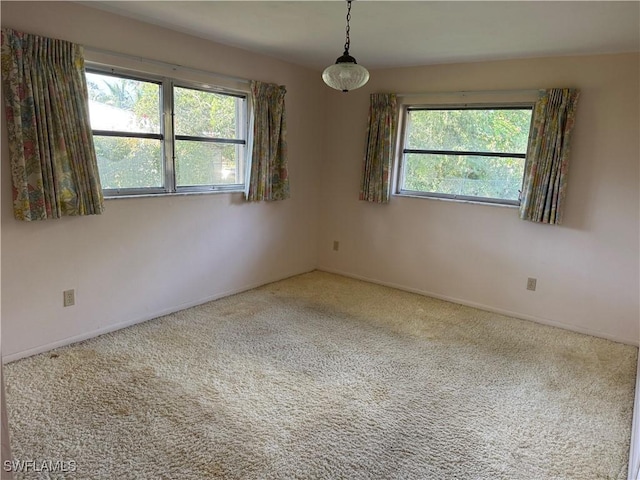 empty room featuring carpet floors