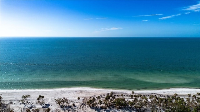 property view of water featuring a beach view