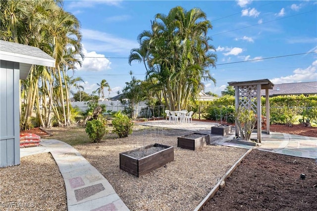 view of yard with a patio area