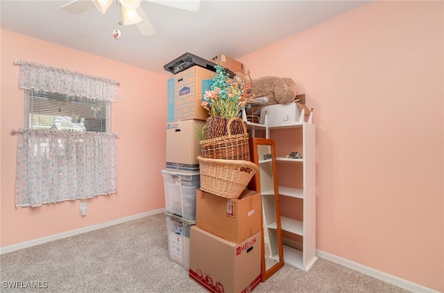 storage room with ceiling fan