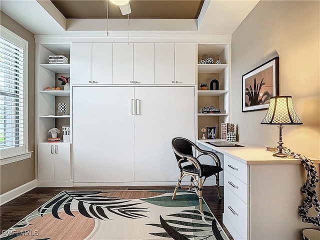 20462 Misty Woods Ct, Estero, FL 33928 - home office featuring dark wood-type flooring, built in shelves, baseboards, and ceiling fan