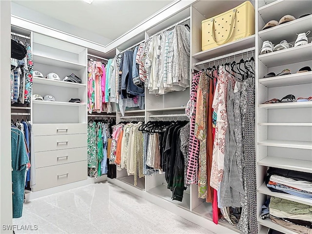 20462 Misty Woods Ct, Estero, FL 33928 - view of spacious closet