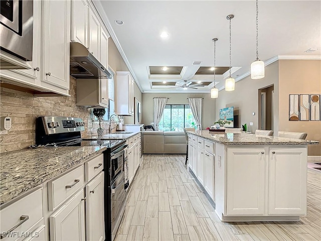 20462 Misty Woods Ct, Estero, FL 33928 - kitchen featuring stainless steel appliances, open floor plan, under cabinet range hood, a sink, and crown molding