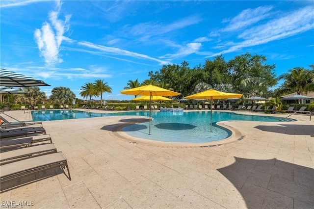 view of pool featuring a patio