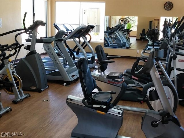 exercise room featuring dark wood-type flooring