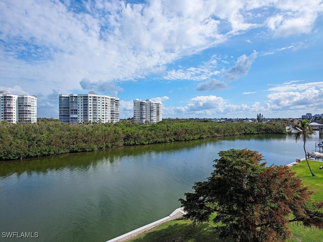 property view of water