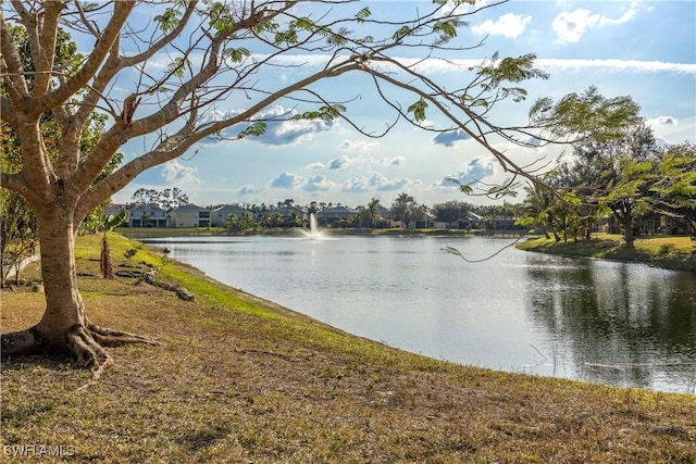 property view of water