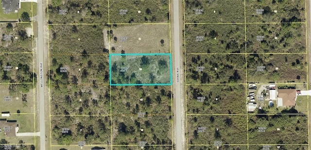 615 Johns Ave, Lehigh Acres FL, 33972 land for sale