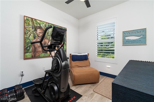 exercise room with ceiling fan and light hardwood / wood-style floors