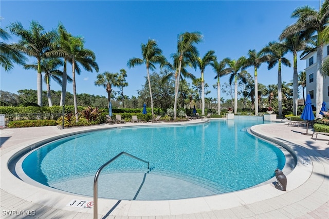 view of pool featuring a patio area