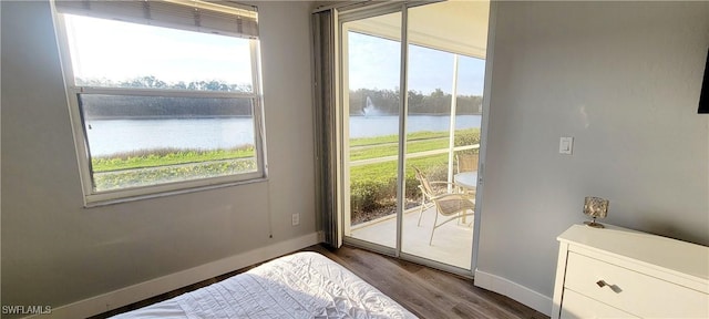 doorway featuring wood-type flooring, a water view, and a wealth of natural light