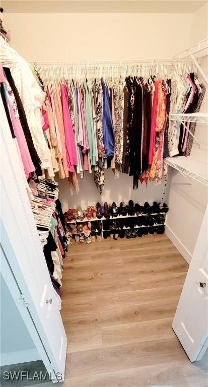 spacious closet with wood-type flooring