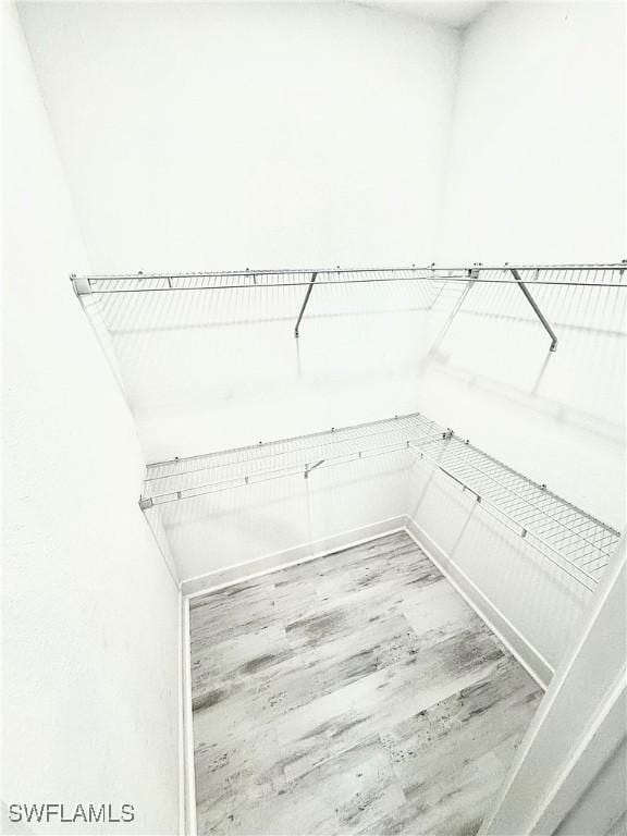 spacious closet with wood-type flooring