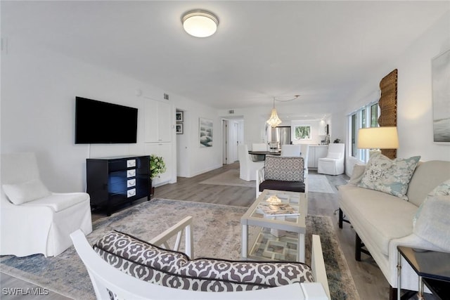 living room featuring wood-type flooring