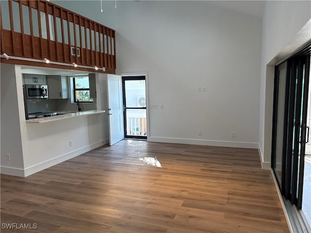 interior space featuring hardwood / wood-style flooring, sink, and a high ceiling