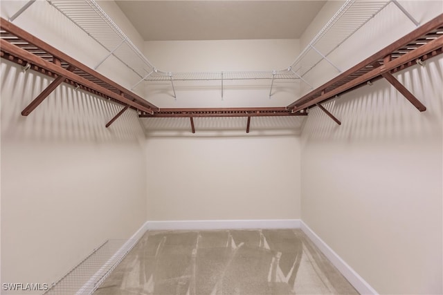 spacious closet with light colored carpet