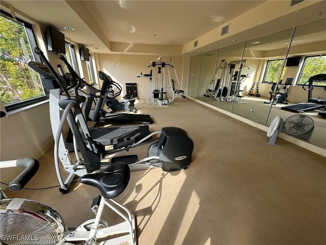 gym with plenty of natural light