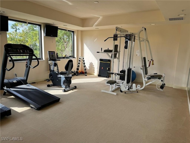 exercise room with a raised ceiling