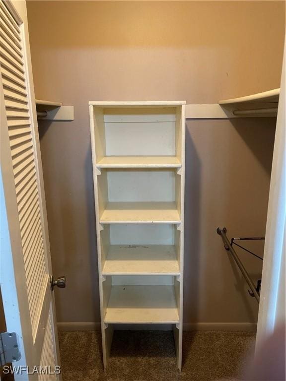 walk in closet with dark carpet