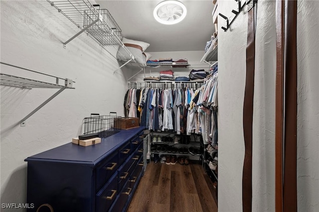 walk in closet featuring dark hardwood / wood-style floors