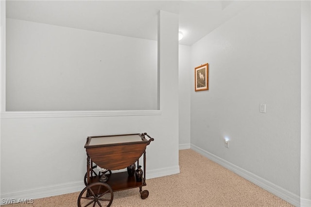 miscellaneous room with light colored carpet