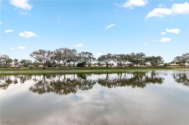 view of water feature