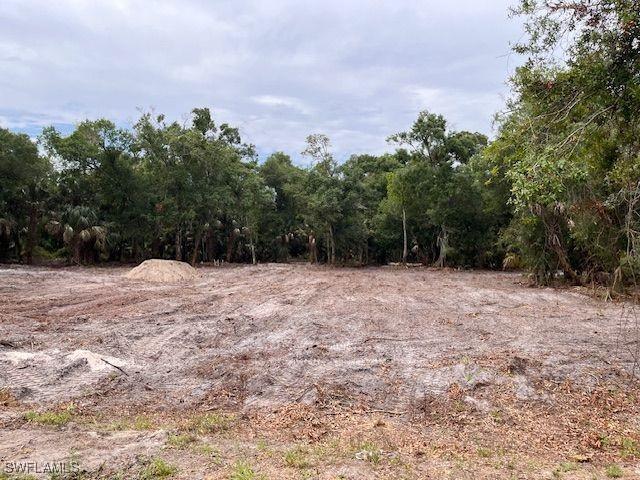 2119 Abbott Ave, Alva FL, 33920 land for sale