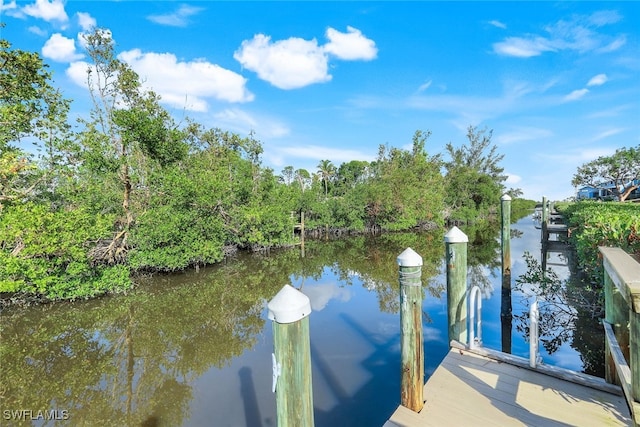 dock area featuring a water view