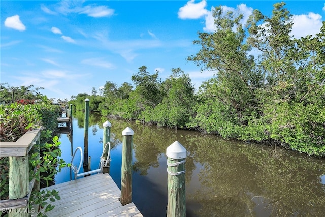 view of dock with a water view