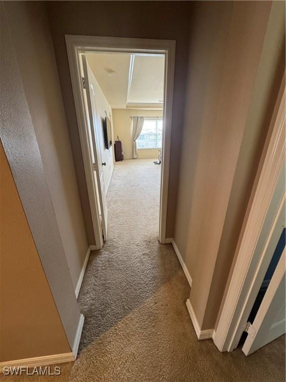 hallway with carpet and baseboards