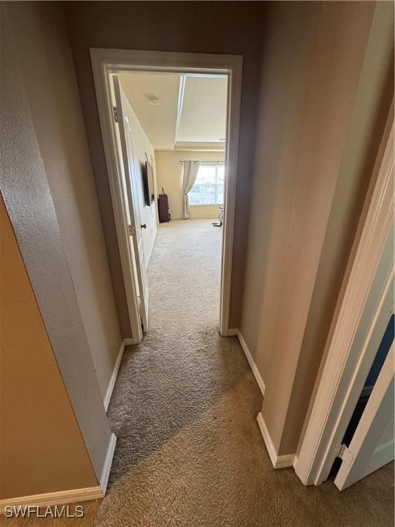 2851 Via Campania St, Fort Myers, FL 33905 - corridor featuring baseboards and carpet
