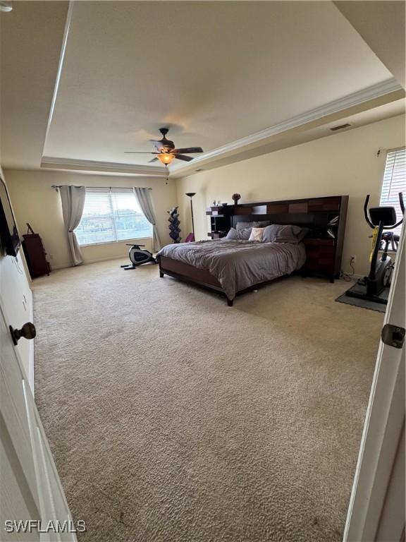 bedroom featuring a raised ceiling, ceiling fan, and carpet floors