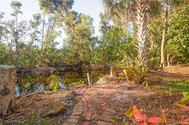 view of yard with a water view