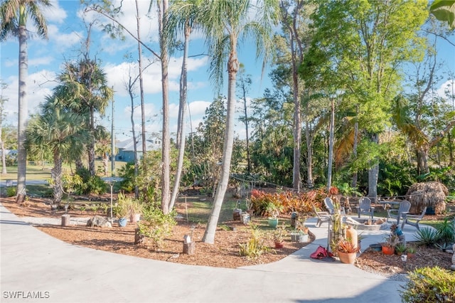 view of community featuring a patio