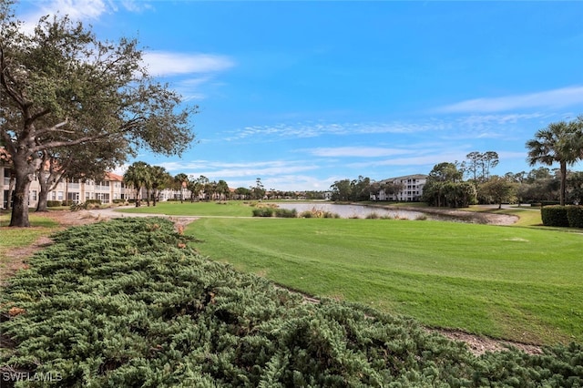 view of community with a lawn