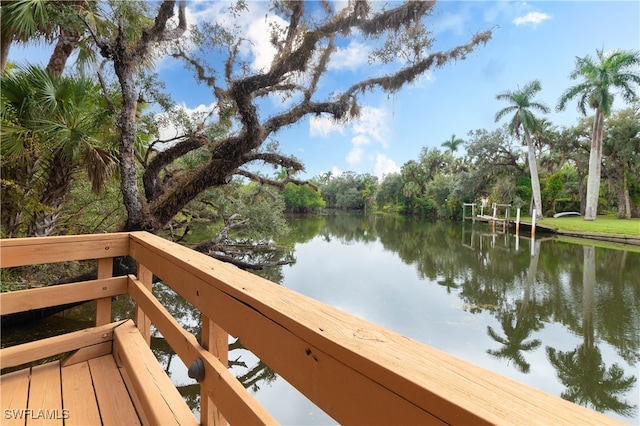 12261 Hammock Creek Way, Fort Myers, FL 33905 - water view