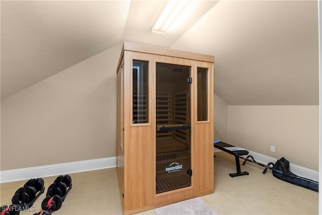 12261 Hammock Creek Way, Fort Myers, FL 33905 - sauna with carpet and baseboards