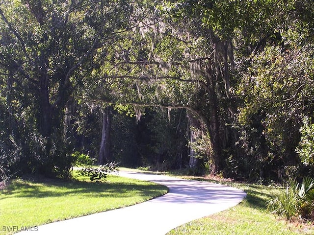 12261 Hammock Creek Way, Fort Myers, FL 33905 - view of home's community with a yard