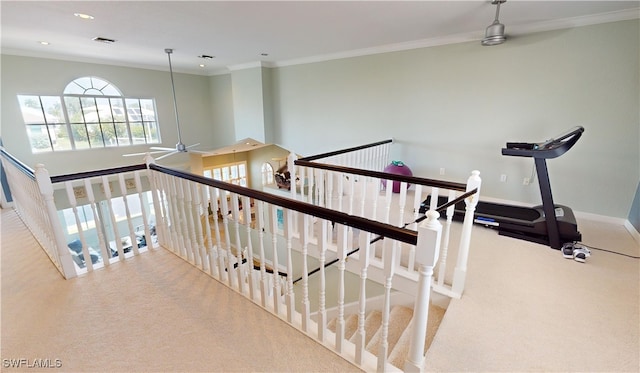 stairs featuring carpet flooring, ceiling fan, and ornamental molding