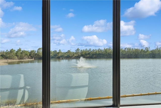 property view of water