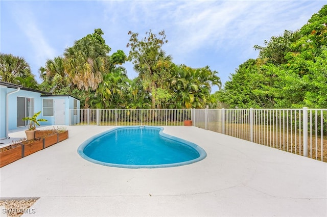 view of swimming pool with a patio