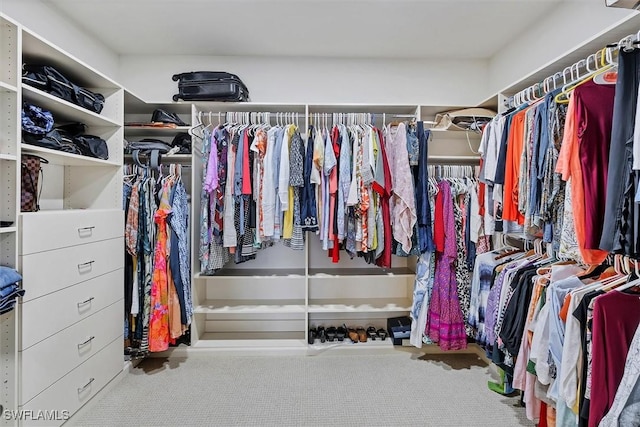 walk in closet with carpet floors