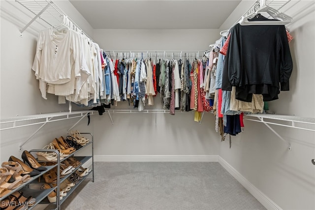 spacious closet with carpet flooring