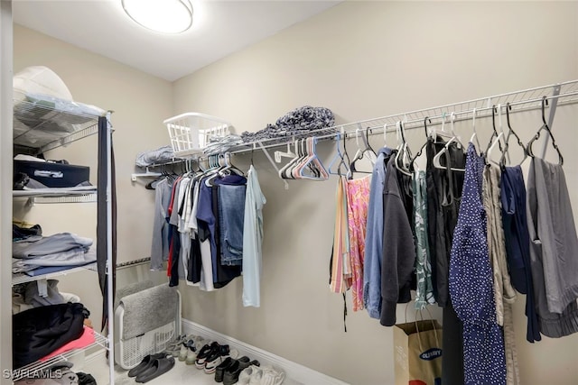 view of spacious closet