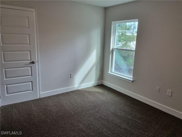 unfurnished room featuring carpet